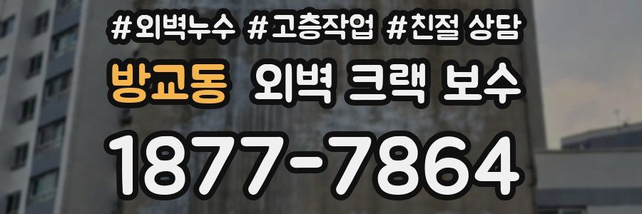 방교동 외벽 크랙 보수