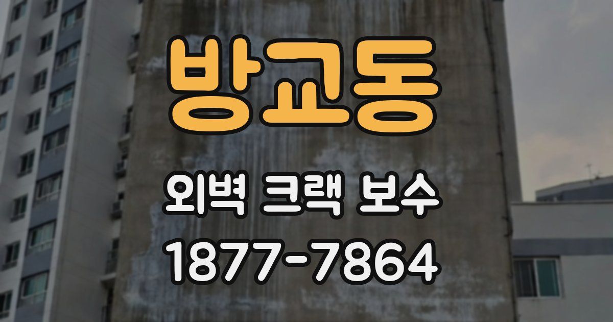 방교동 외벽 크랙 보수