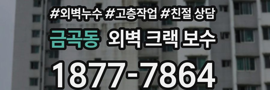 금곡동 외벽 크랙 보수