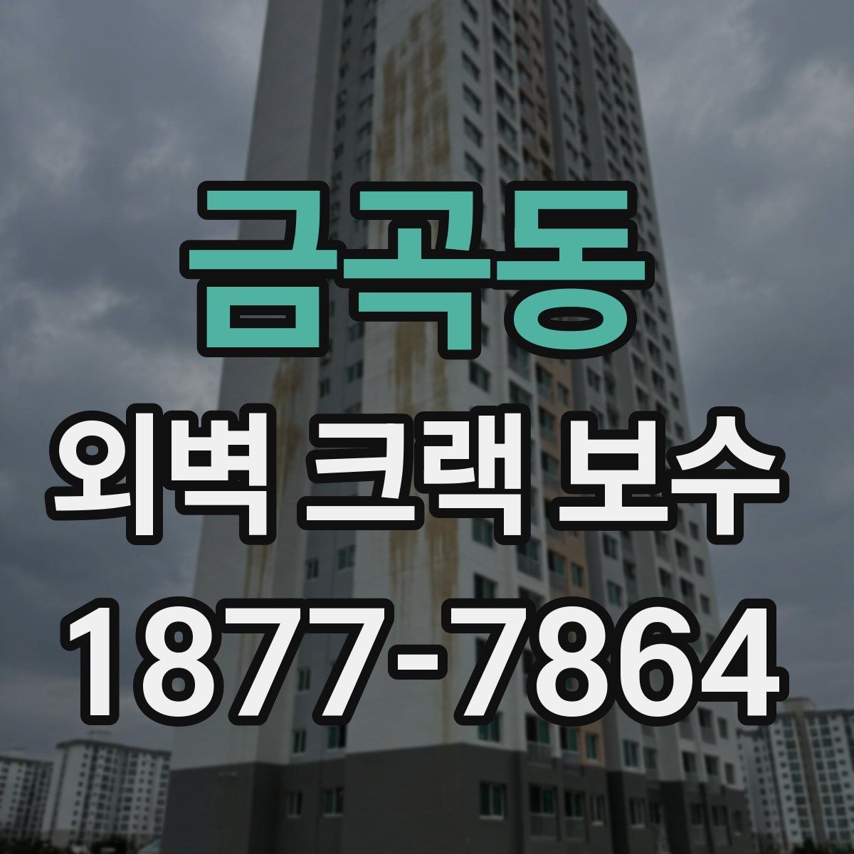 금곡동 외벽 크랙 보수