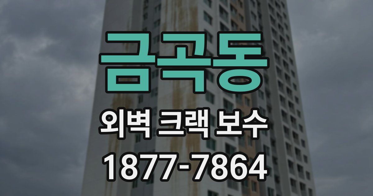 금곡동 외벽 크랙 보수