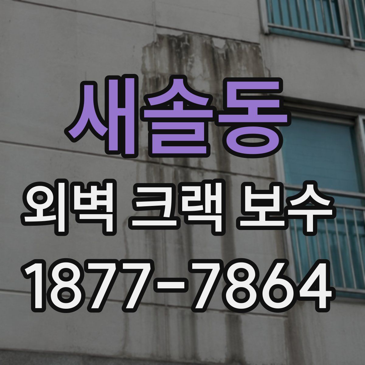 새솔동 외벽 크랙 보수