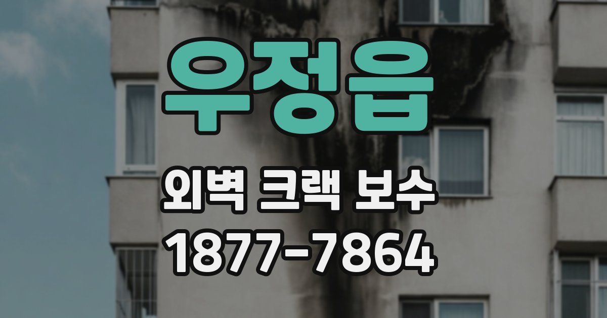 우정읍 외벽 크랙 보수