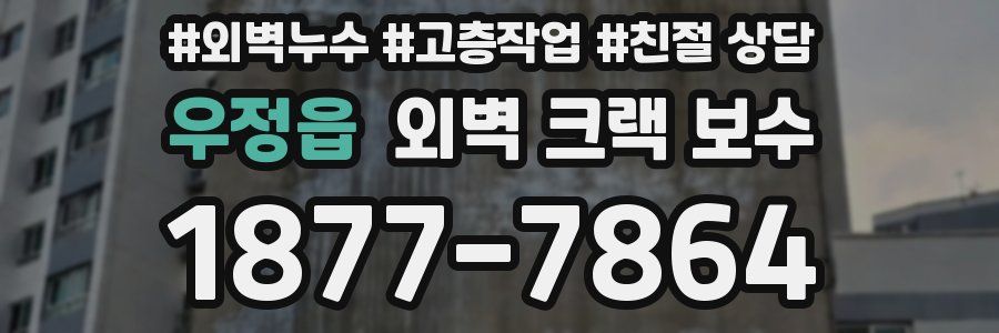 우정읍 외벽 크랙 보수
