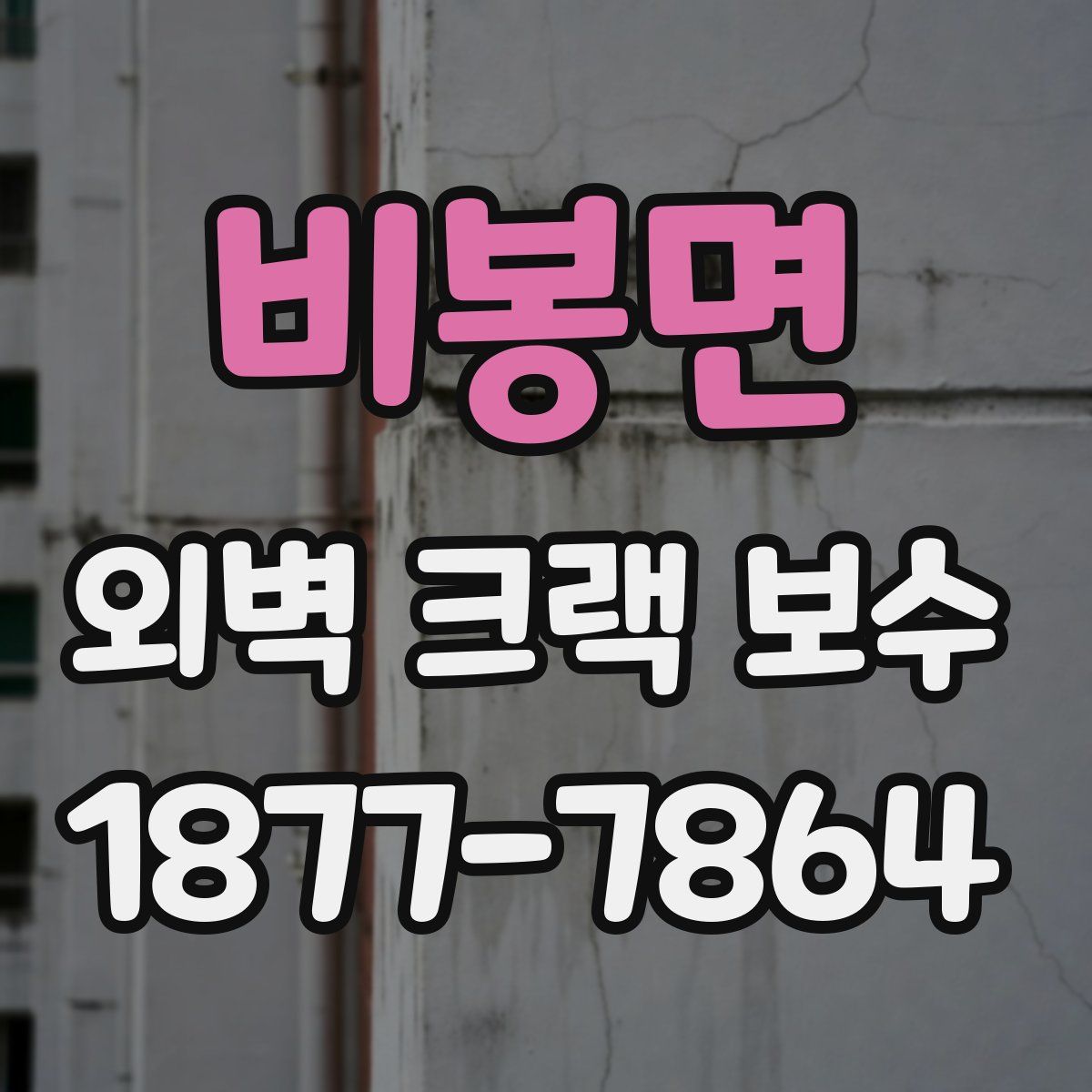 비봉면 외벽 크랙 보수