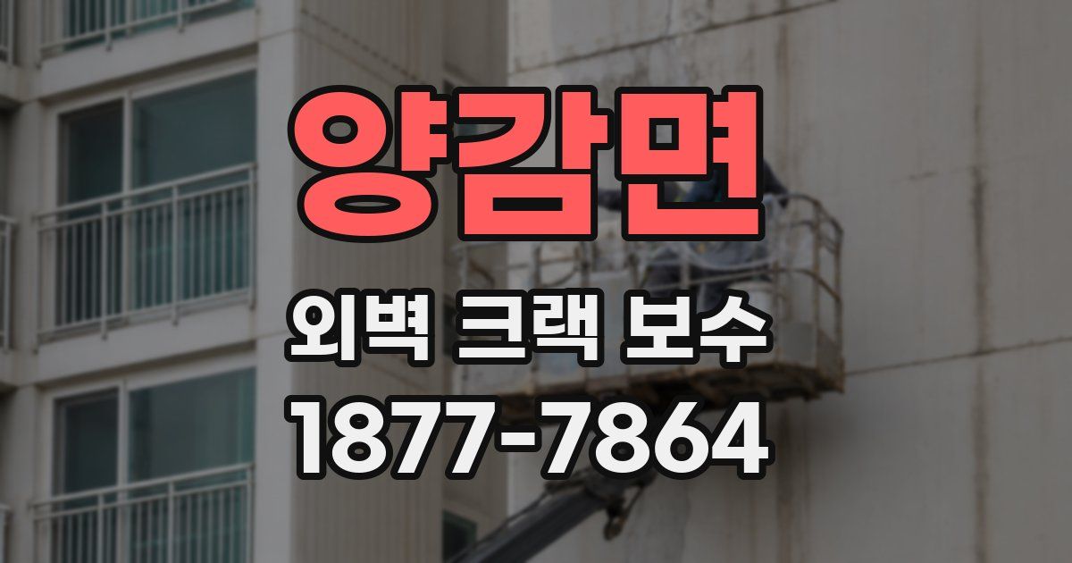 양감면 외벽 크랙 보수