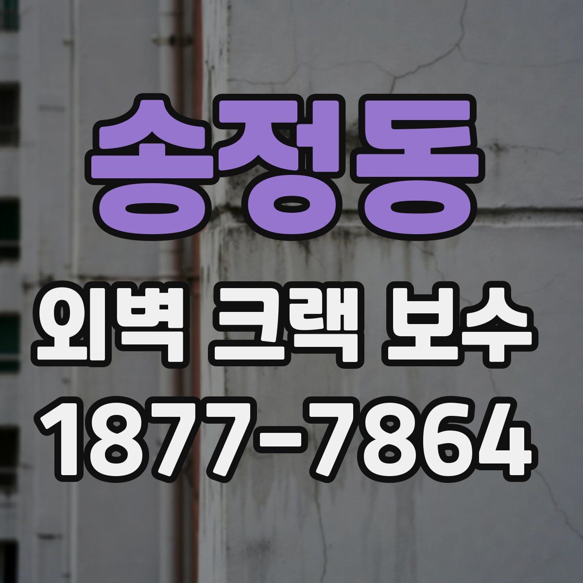 송정동 외벽 크랙 보수