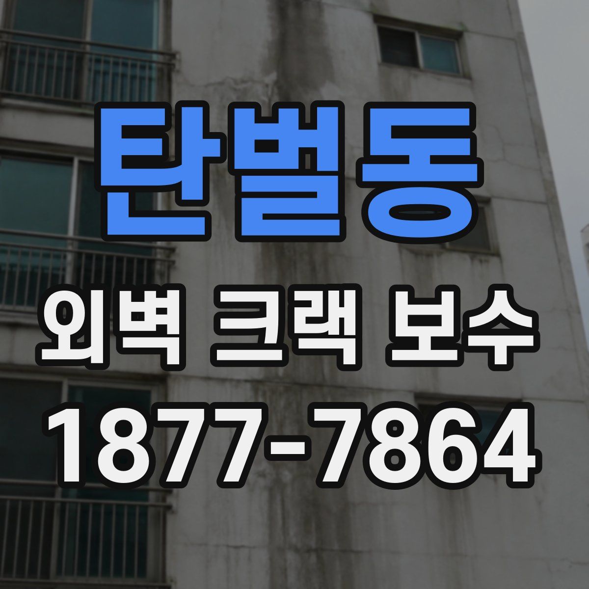 탄벌동 외벽 크랙 보수