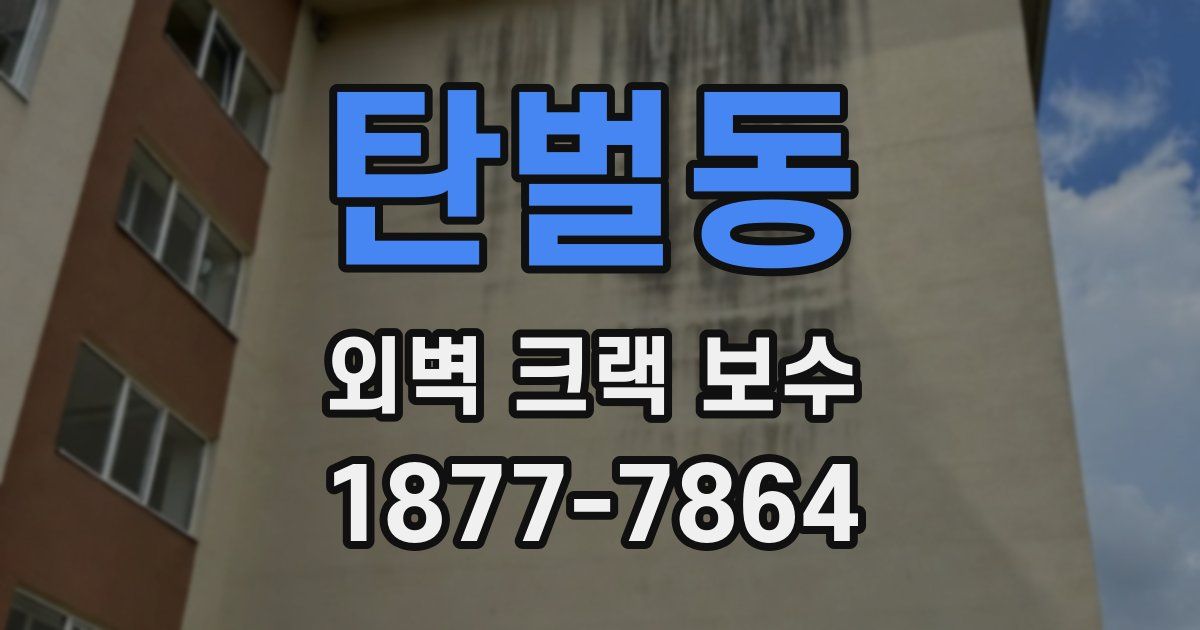 탄벌동 외벽 크랙 보수