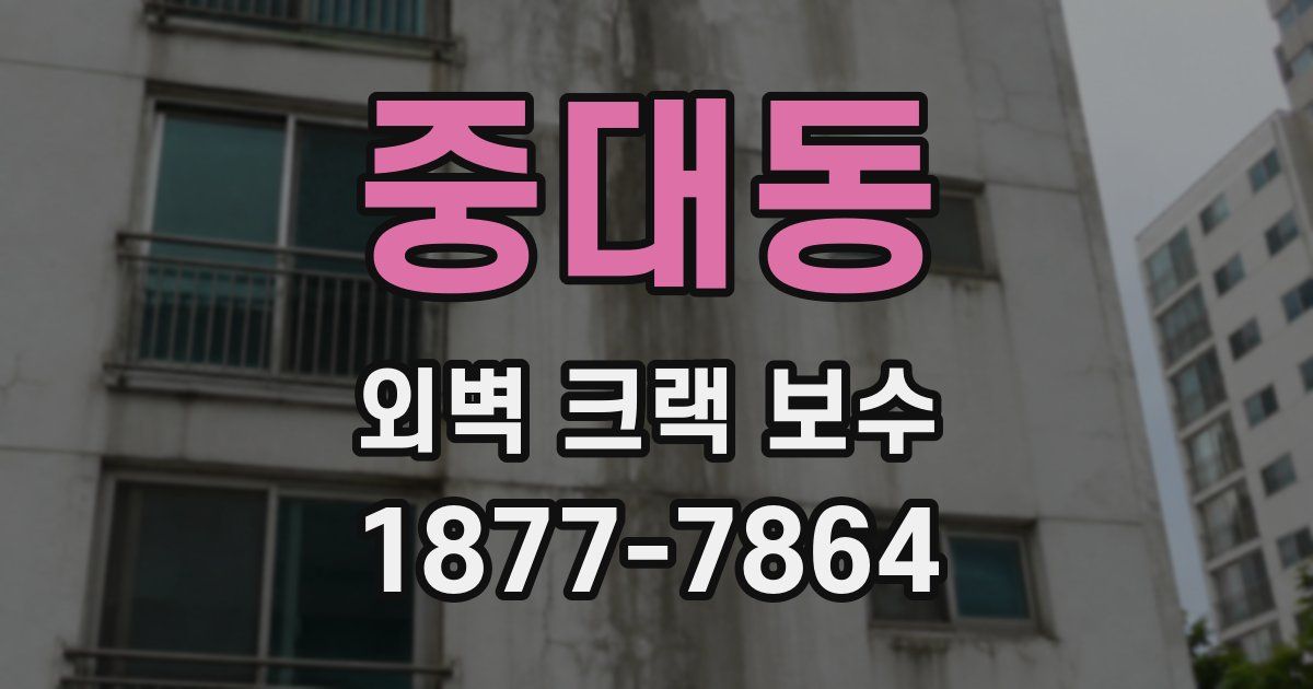 중대동 외벽 크랙 보수