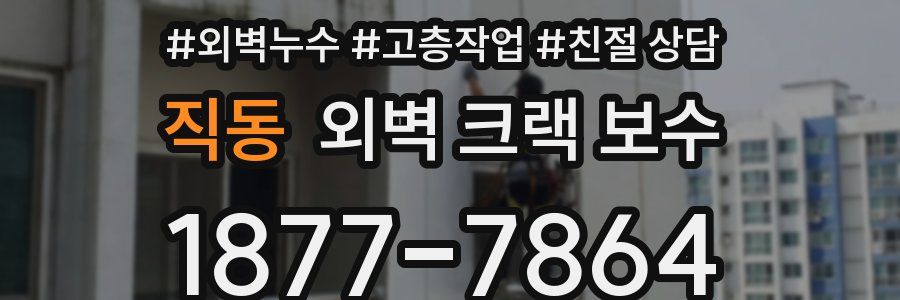 직동 외벽 크랙 보수