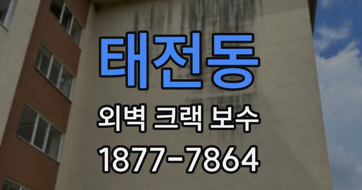 태전동 외벽 크랙 보수