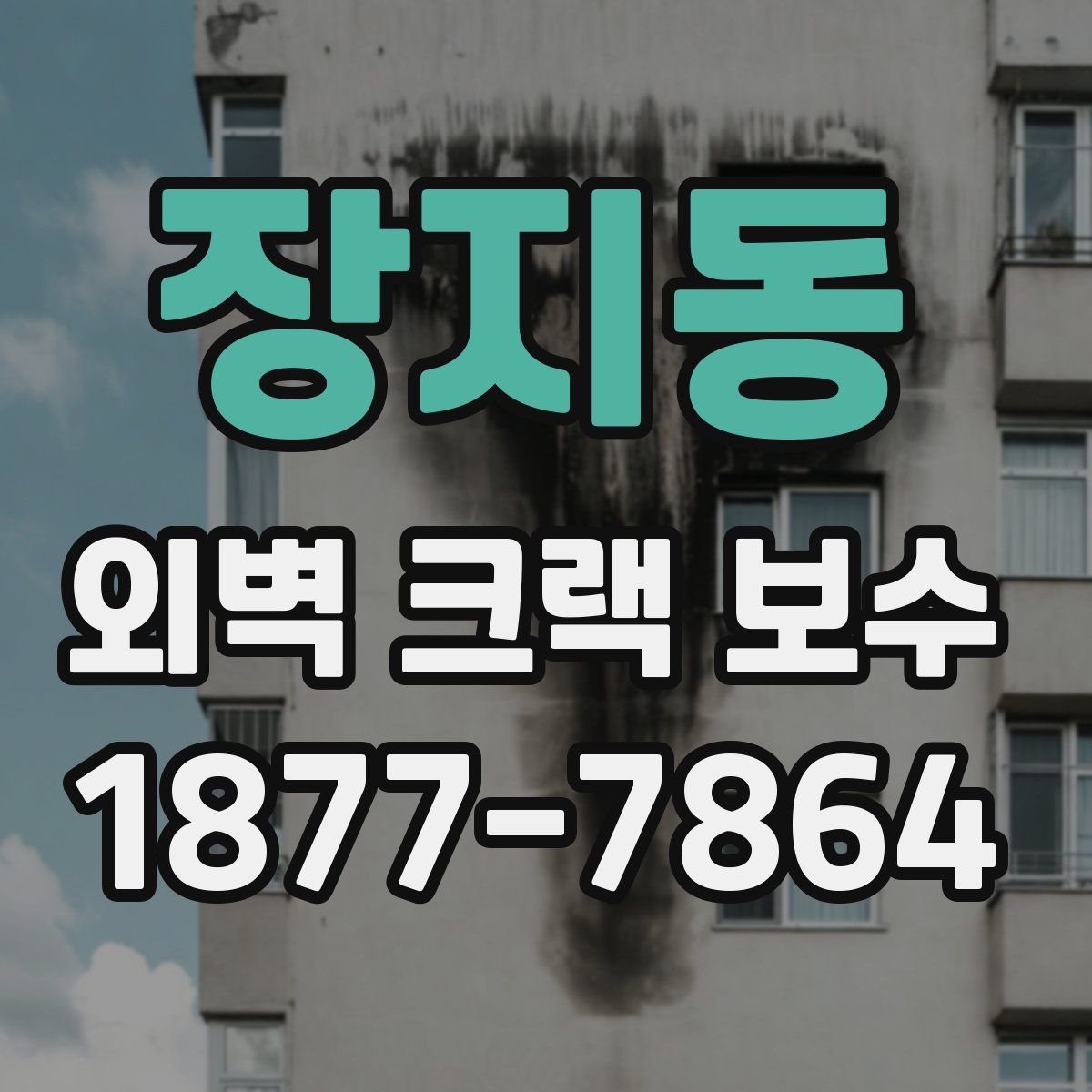 장지동 외벽 크랙 보수