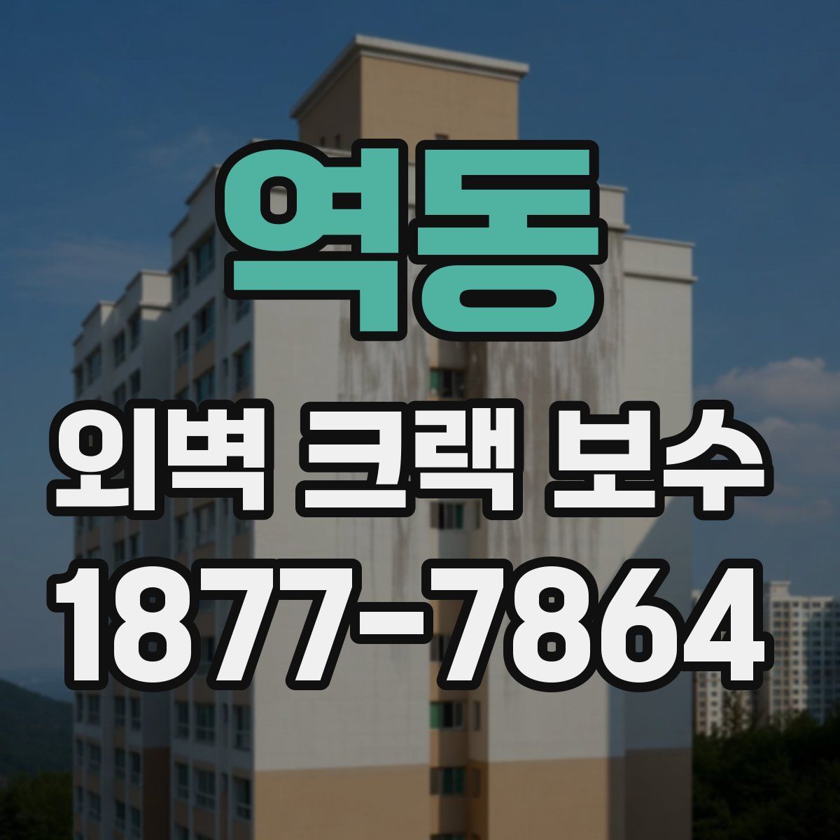 역동 외벽 크랙 보수