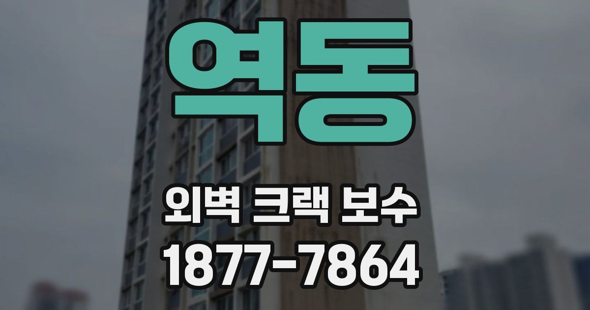 역동 외벽 크랙 보수
