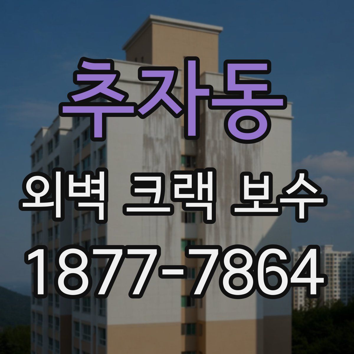추자동 외벽 크랙 보수