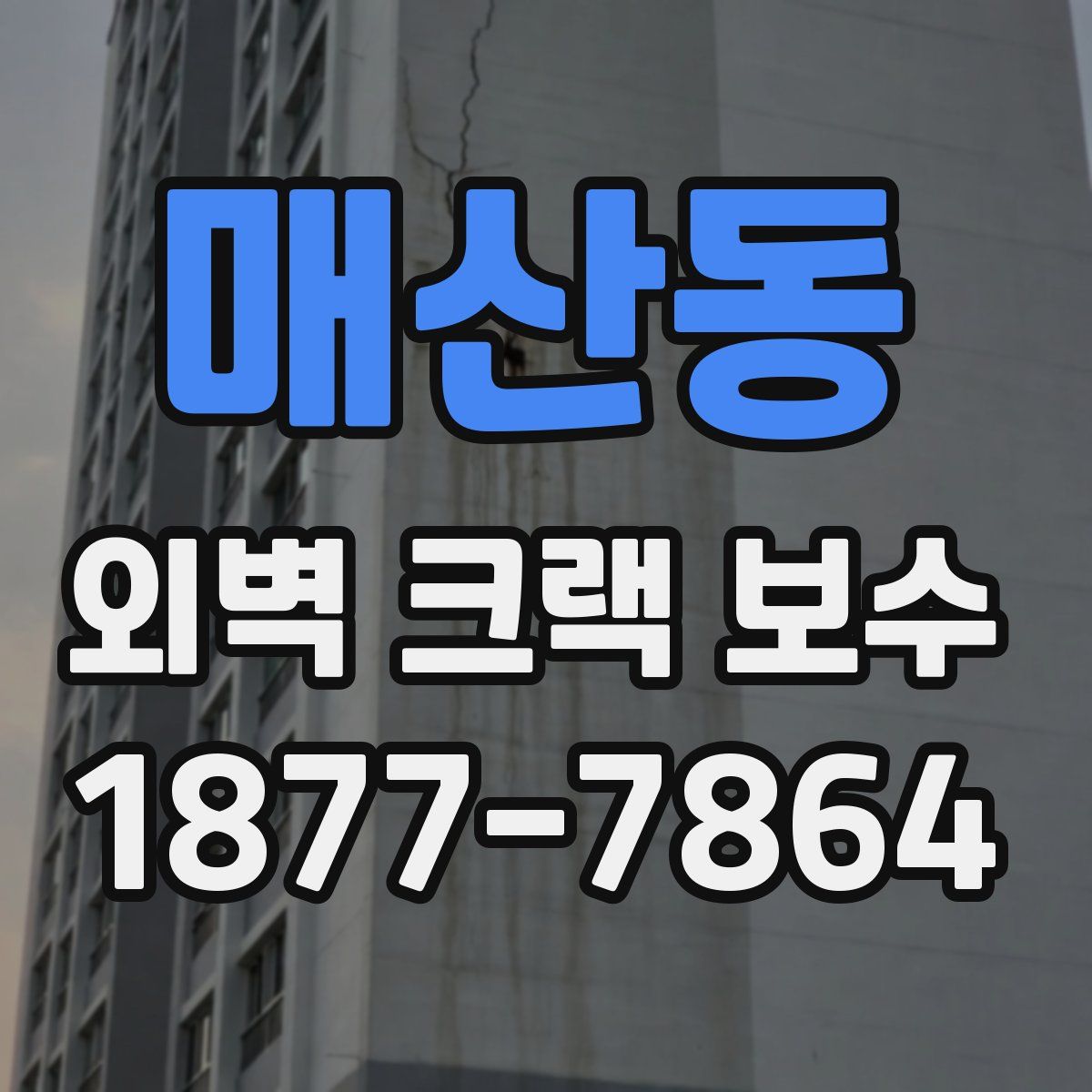 매산동 외벽 크랙 보수