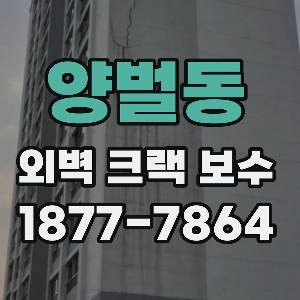 양벌동 외벽 크랙 보수 시공 범위를 줄여도 되는 경우