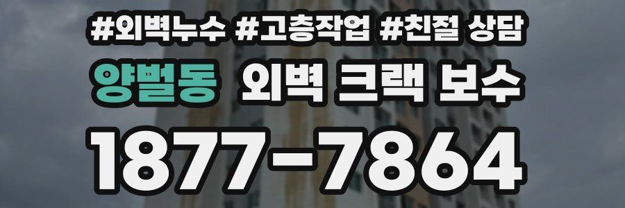 양벌동 외벽 크랙 보수