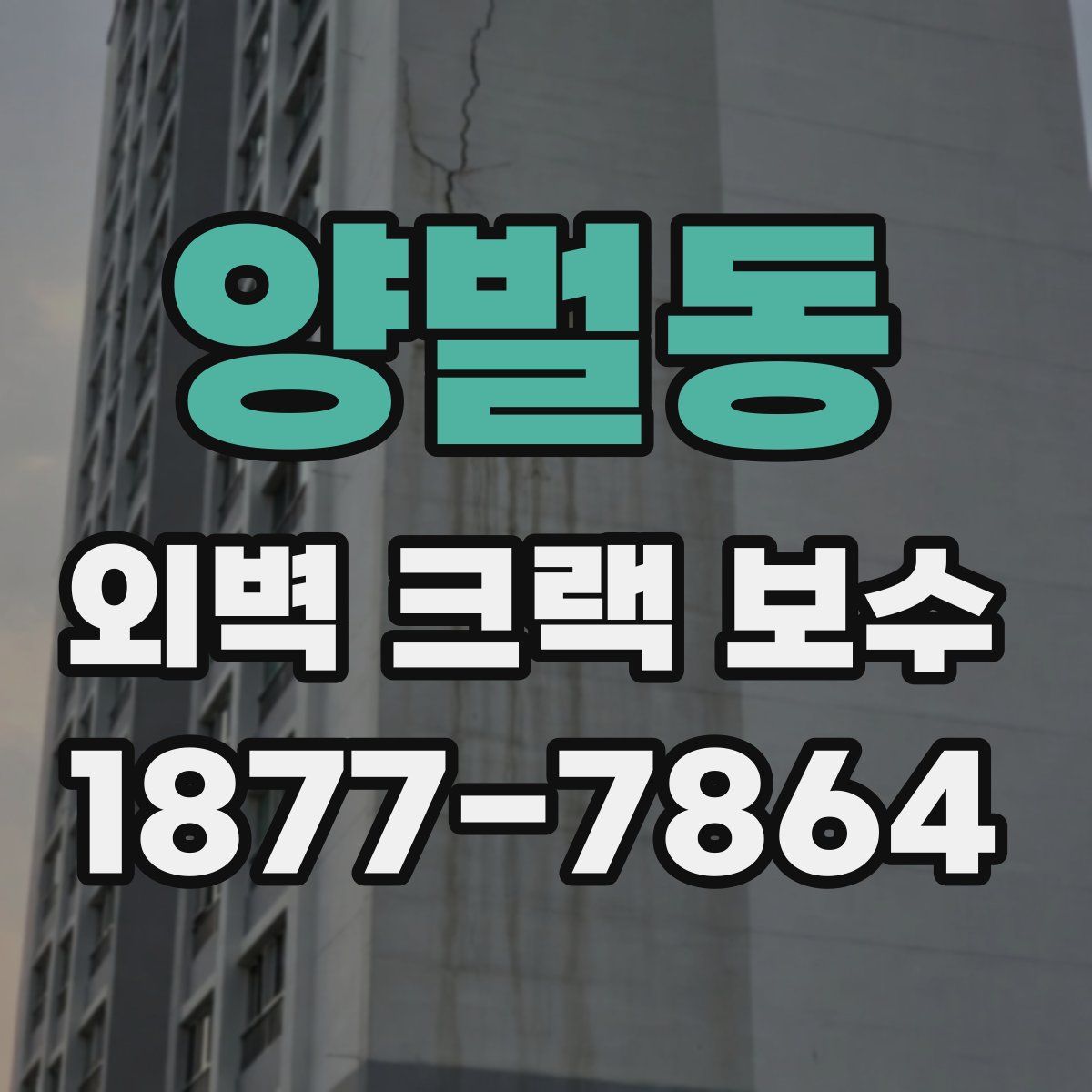 양벌동 외벽 크랙 보수