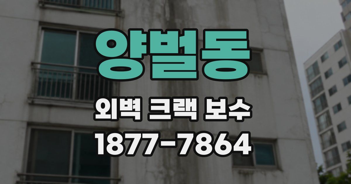 양벌동 외벽 크랙 보수