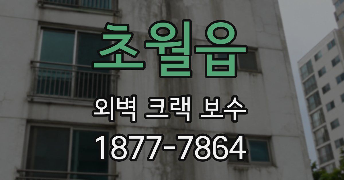 초월읍 외벽 크랙 보수