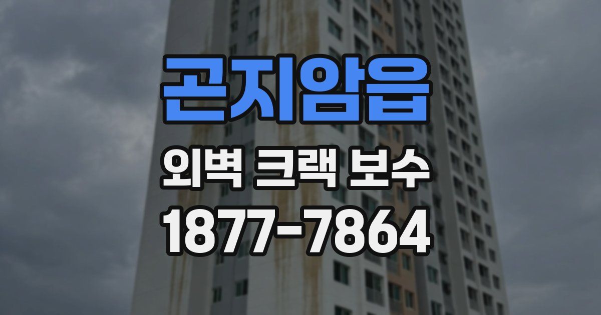 곤지암읍 외벽 크랙 보수