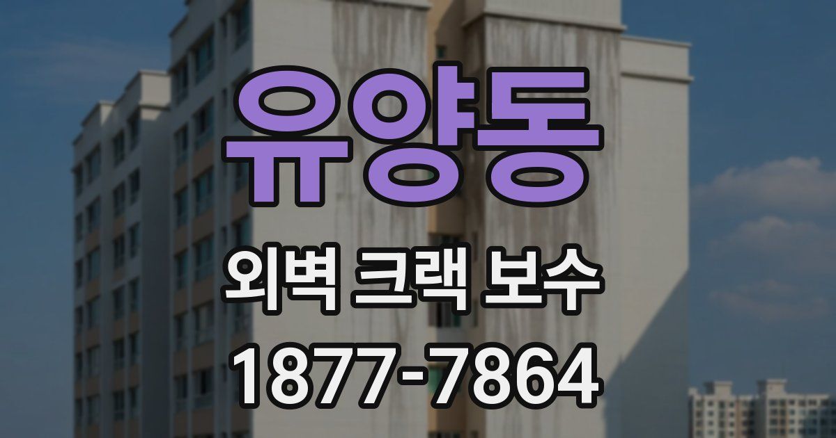 유양동 외벽 크랙 보수