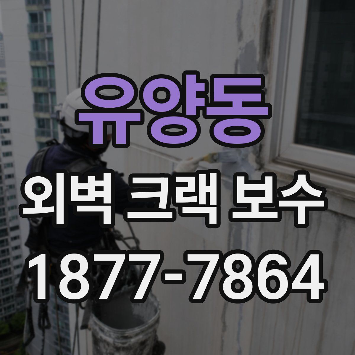 유양동 외벽 크랙 보수