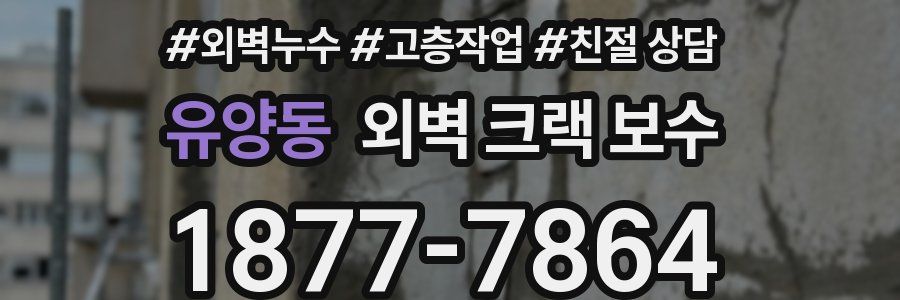 유양동 외벽 크랙 보수