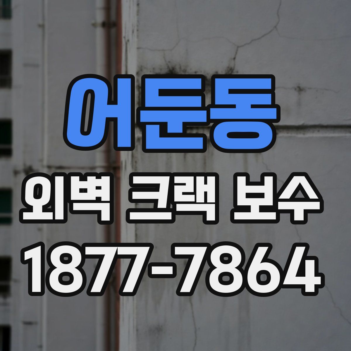어둔동 외벽 크랙 보수