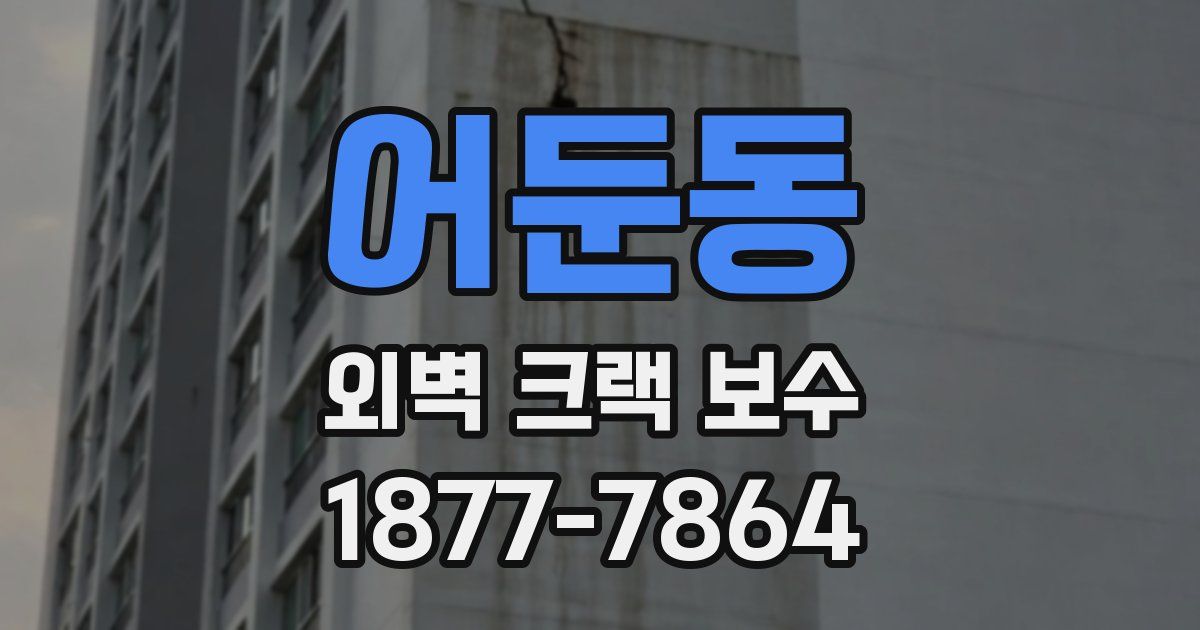 어둔동 외벽 크랙 보수