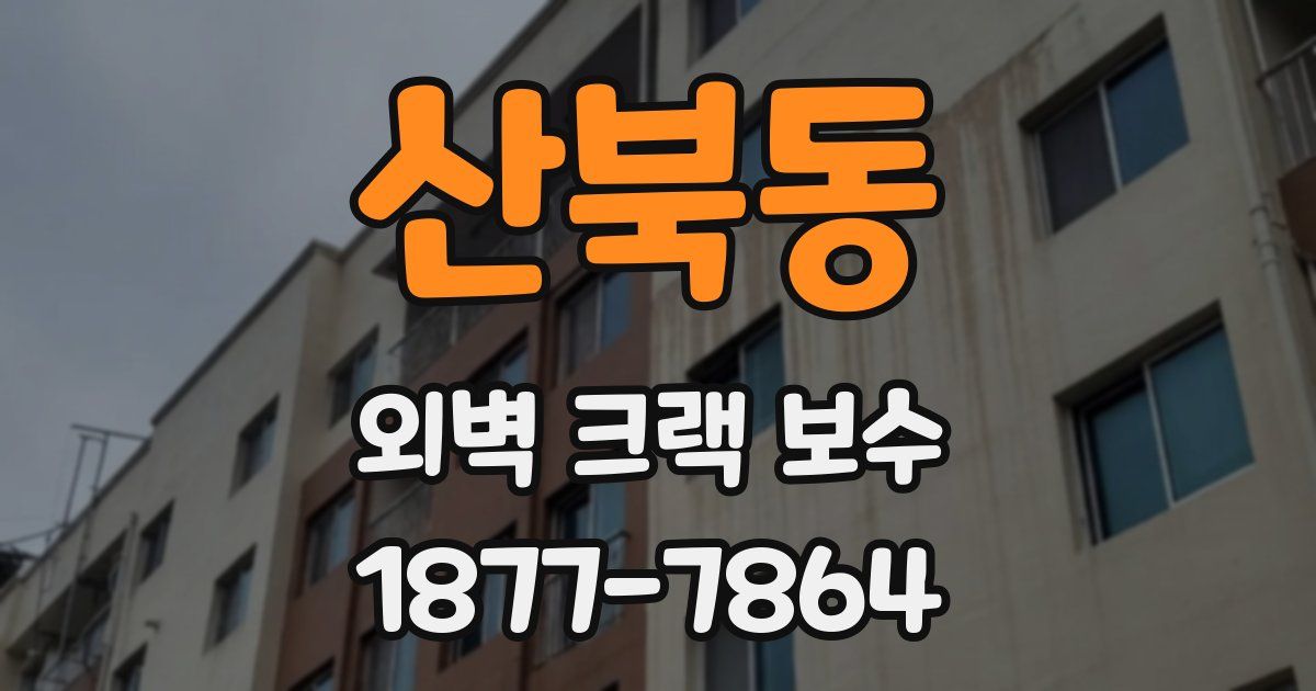 산북동 외벽 크랙 보수