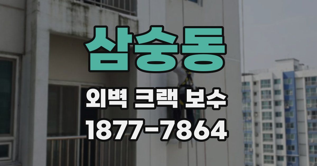삼숭동 외벽 크랙 보수