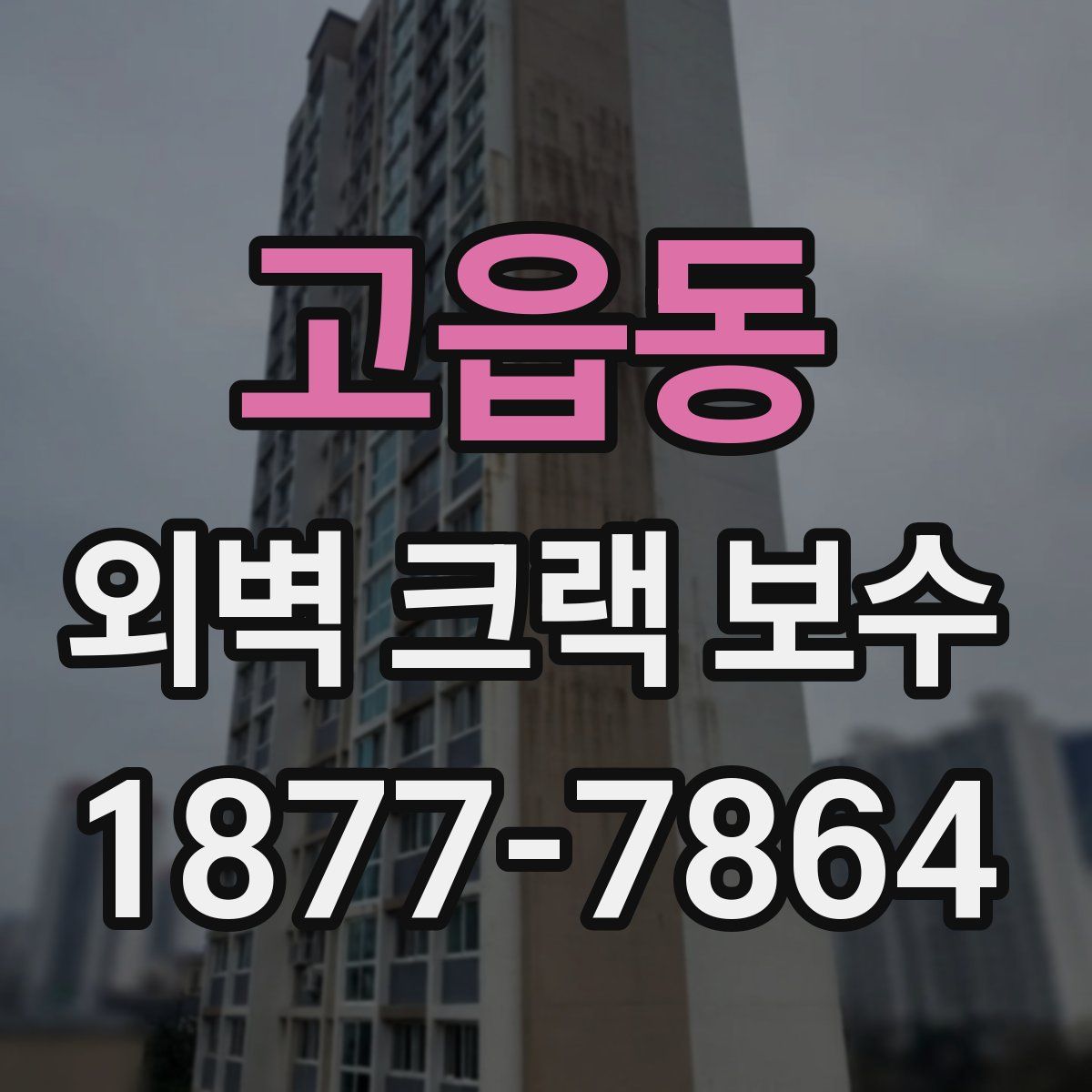 고읍동 외벽 크랙 보수