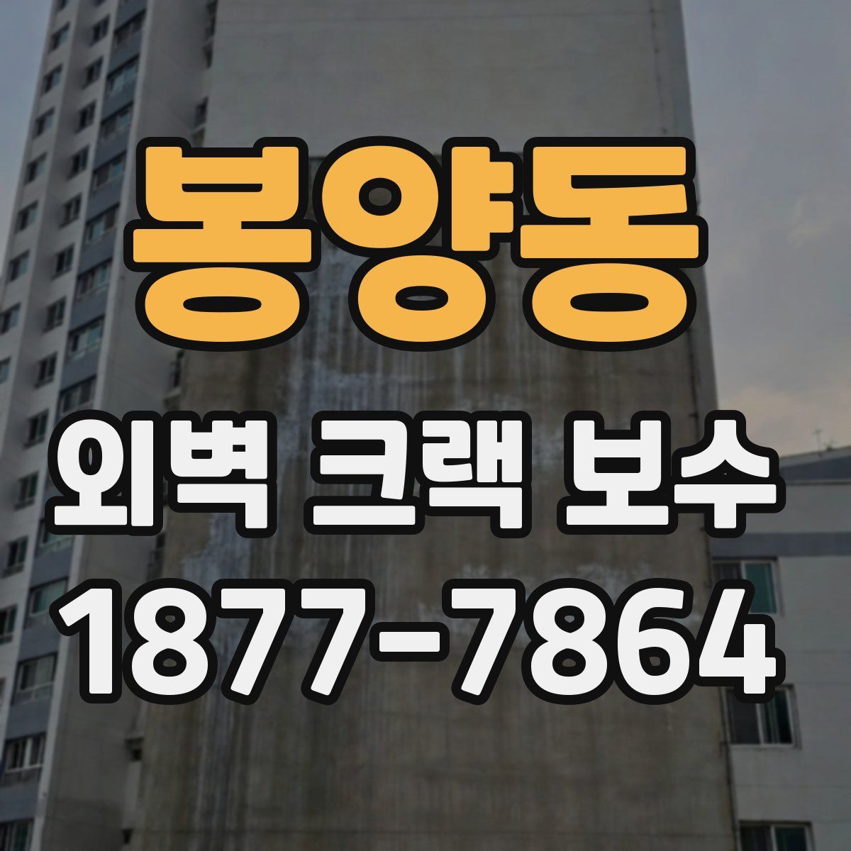 봉양동 외벽 크랙 보수