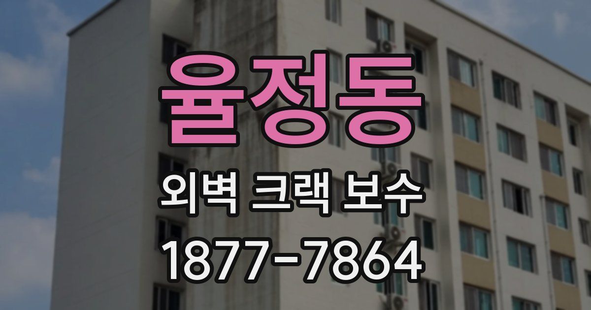 율정동 외벽 크랙 보수
