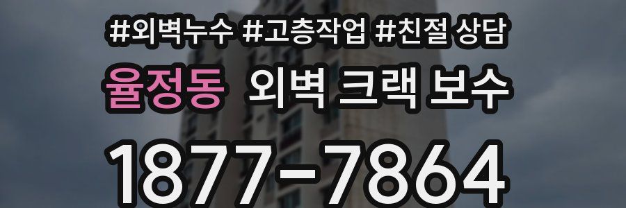 율정동 외벽 크랙 보수