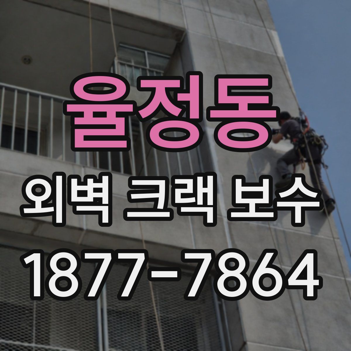 율정동 외벽 크랙 보수