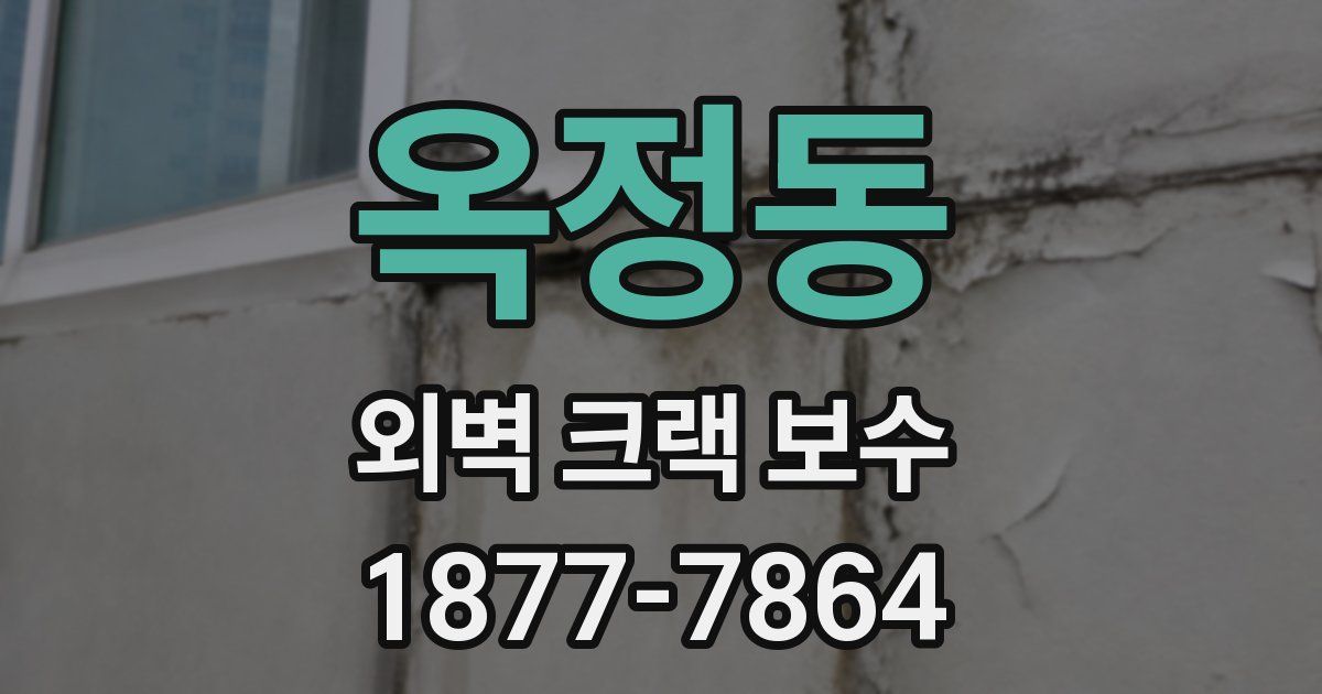 옥정동 외벽 크랙 보수