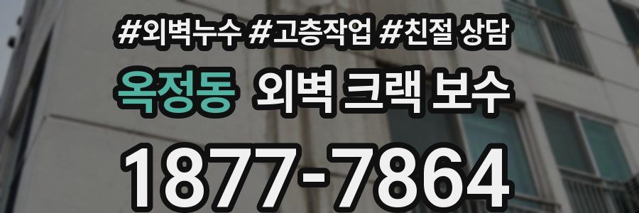 옥정동 외벽 크랙 보수