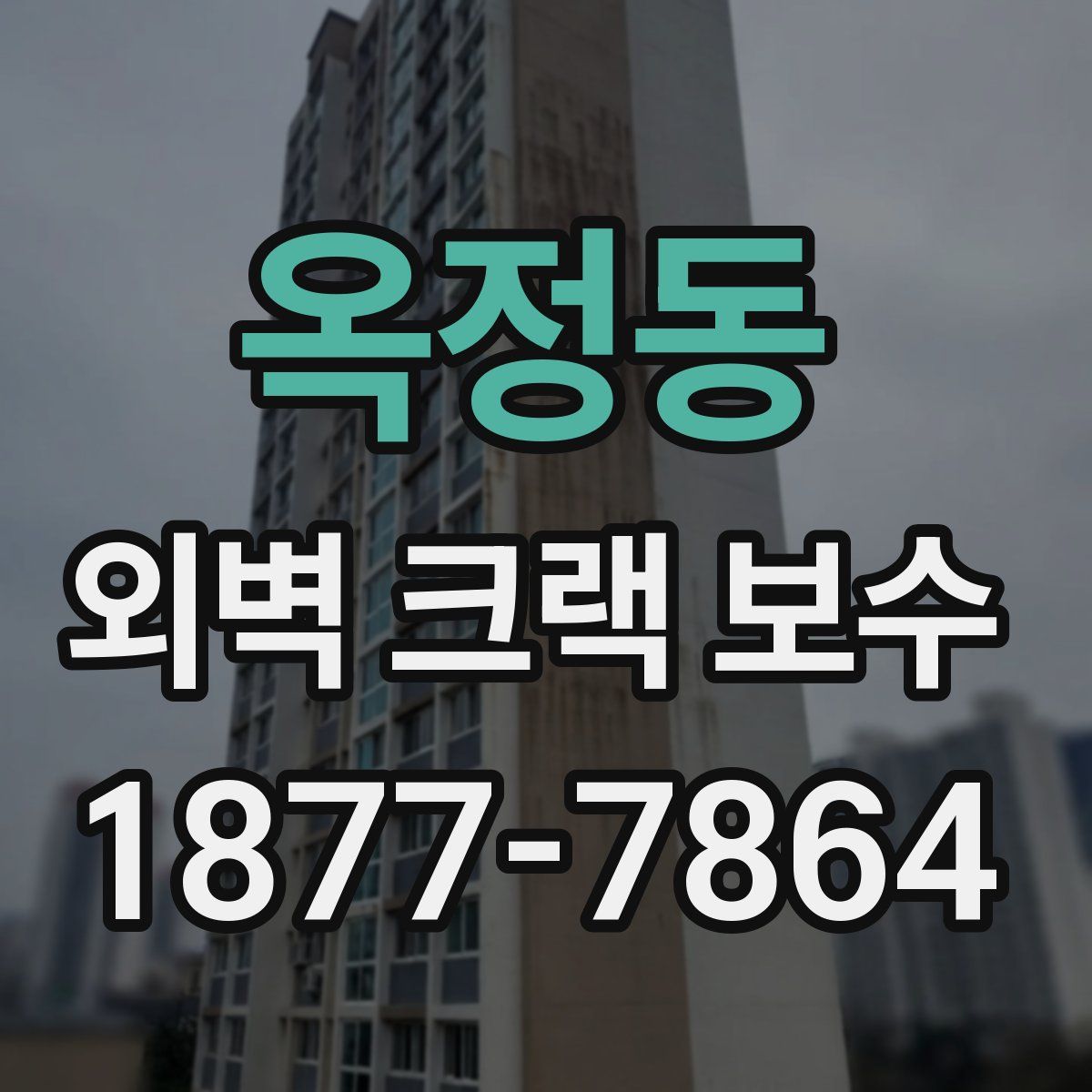 옥정동 외벽 크랙 보수