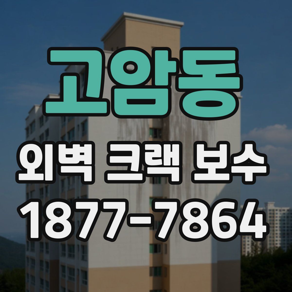 고암동 외벽 크랙 보수