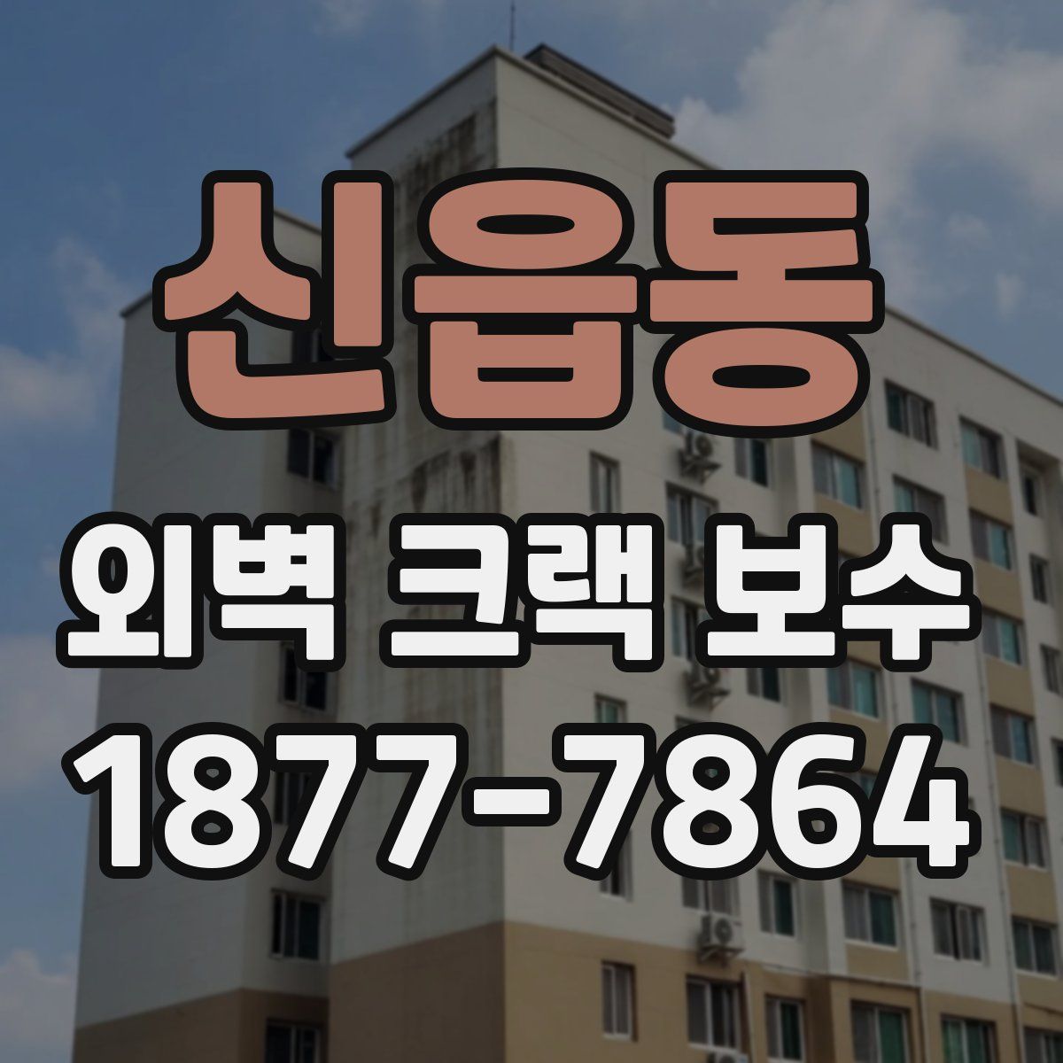 신읍동 외벽 크랙 보수