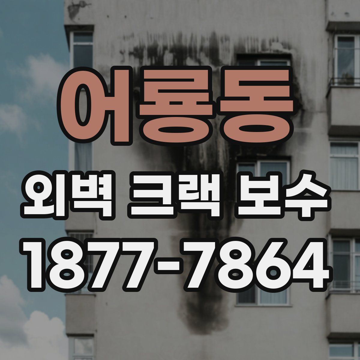 어룡동 외벽 크랙 보수