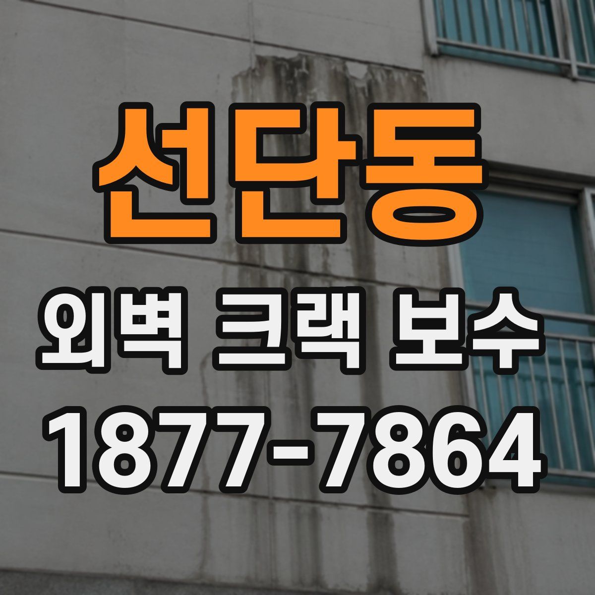 선단동 외벽 크랙 보수