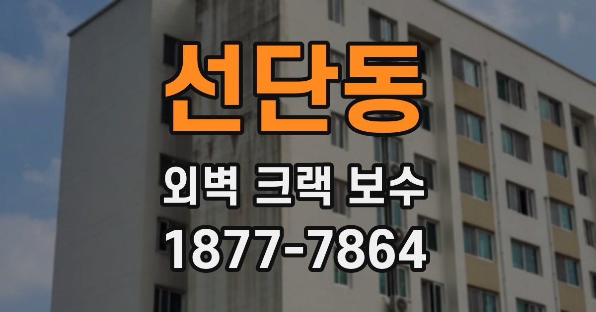 선단동 외벽 크랙 보수