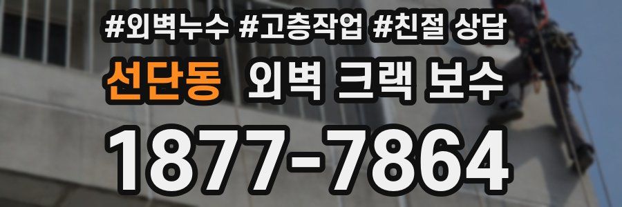 선단동 외벽 크랙 보수