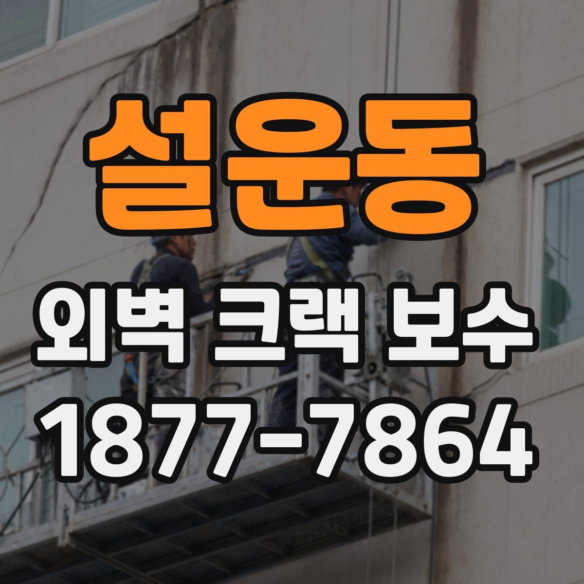 설운동 외벽 크랙 보수