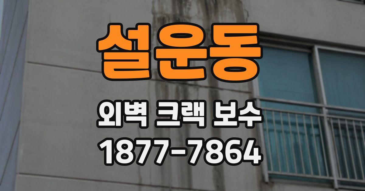 설운동 외벽 크랙 보수